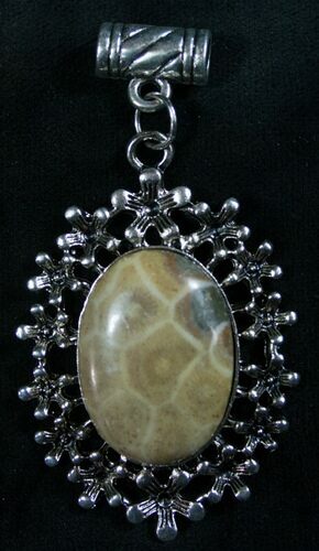 Fossil Coral Pendant - Million Years Old #8065